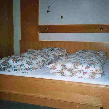 Haus Pinzger Daire *