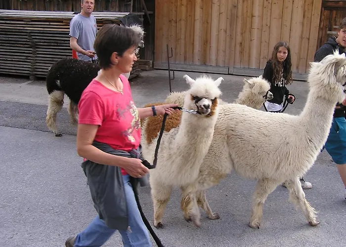 Haus Pinzger Апартаменты